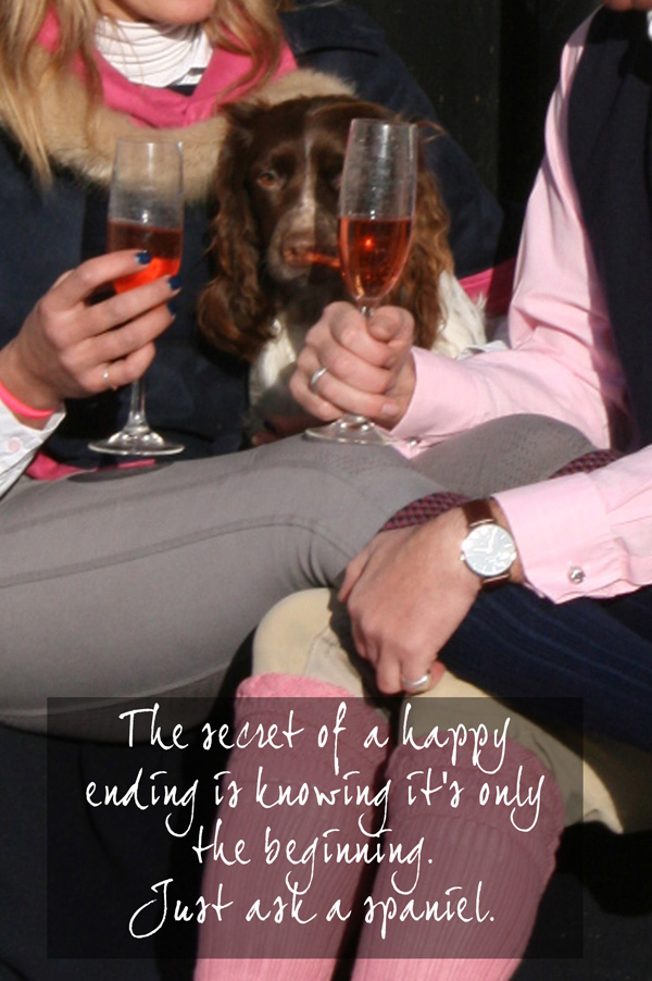 13 Just ask a Spaniel