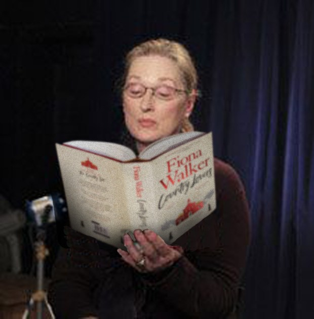 Meryl book fake